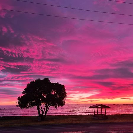 The Anchor Inn Beachfront Motel Kaikoura Ngoại thất bức ảnh